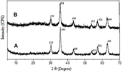 Simultaneous Removal and Extraction of Bisphenol A and 4-tert-butylphenol From Water Samples Using Magnetic Chitosan Particles